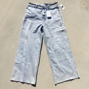 Buckle Jeans Vervet Blue Olivia Wide leg size 31